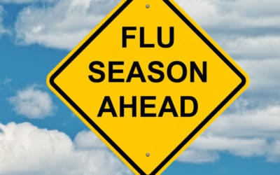 L’épidémie de grippe en 2018-2019