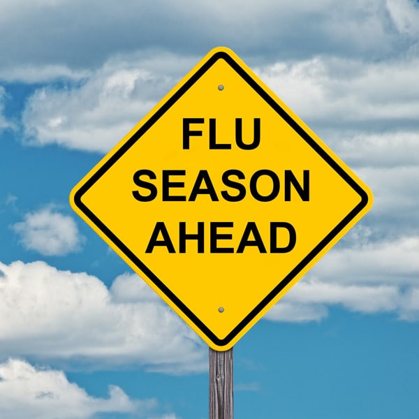 L’épidémie de grippe en 2018-2019