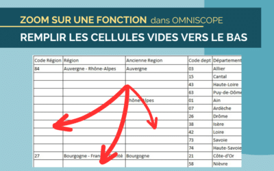 Zoom sur une fonction d’Omniscope : Remplir les cellules vides vers le bas